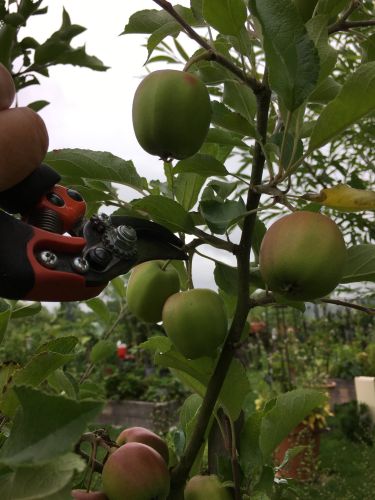 La Sauvagine Terre et Passion®