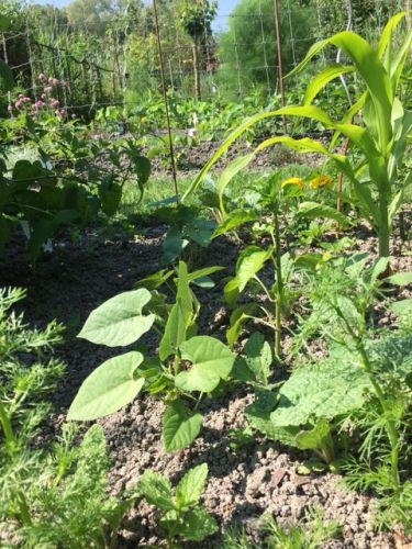 La Sauvagine Terre et Passion®