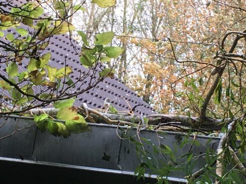 La Sauvagine Terre et Passion®