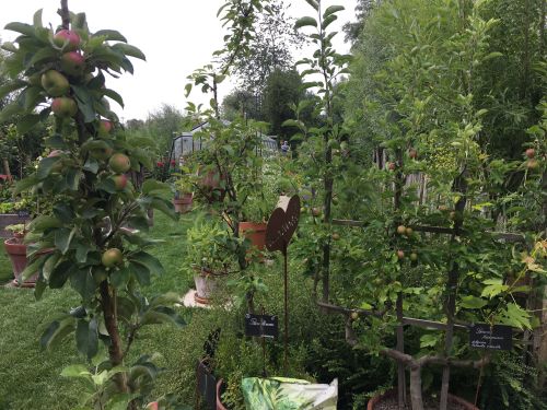 La Sauvagine Terre et Passion®