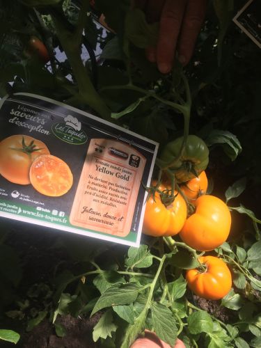 La Sauvagine Terre et Passion®