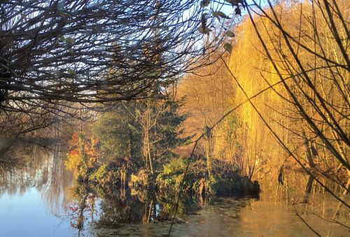 La Sauvagine Terre et Passion®