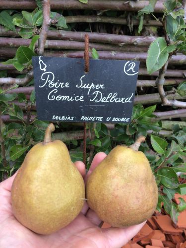 La Sauvagine Terre et Passion®