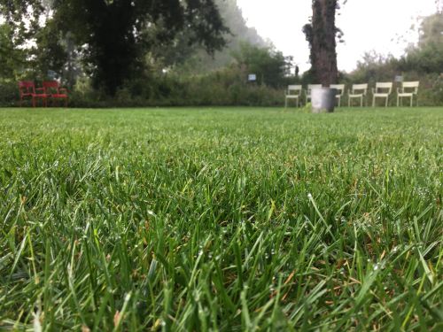 La Sauvagine Terre et Passion®