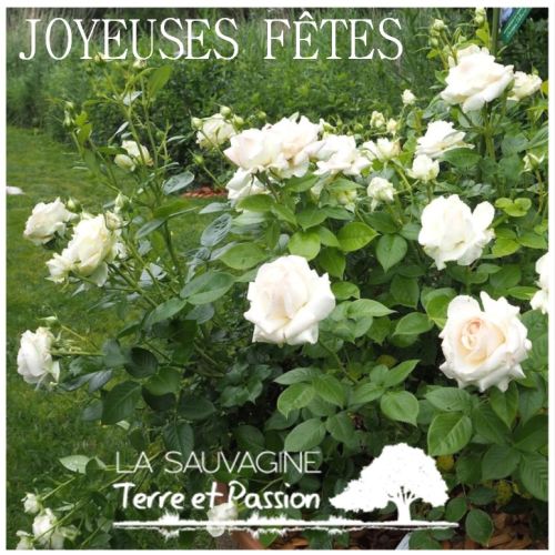 La Sauvagine Terre et Passion®